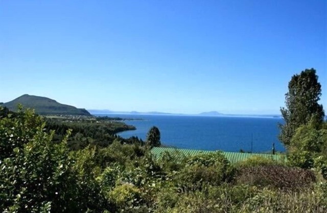 Nestled Atop the Lane - Maison de vacances Pukawa Bay