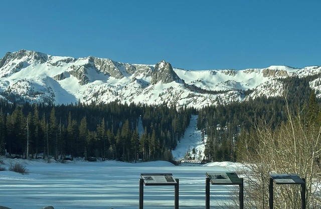 Nestled in the heart of Mammoth Lakes