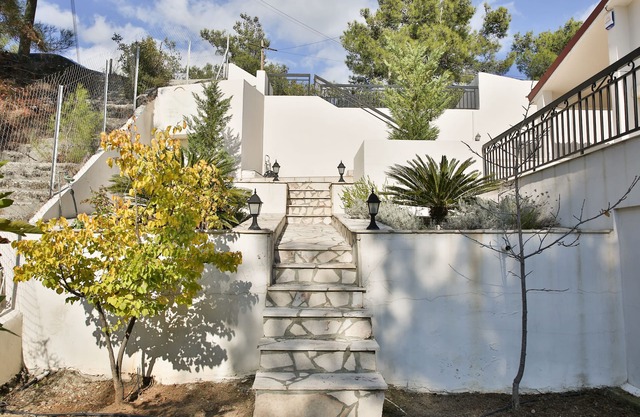Nestor Hillside Moniatis House