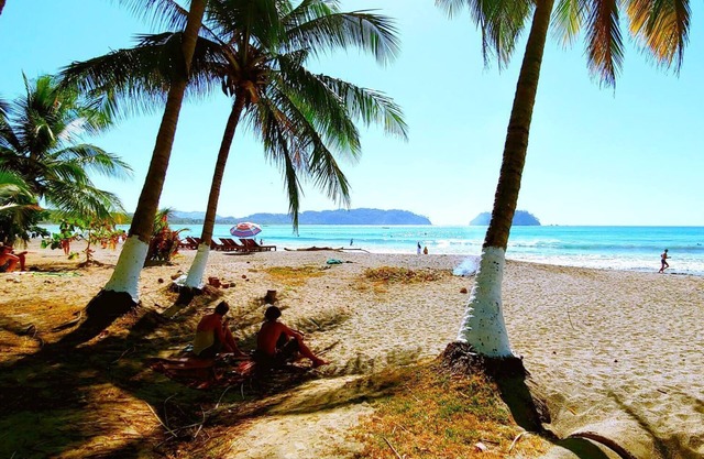 NOUVEAU! # 1 Ocean Beaches Mountains Adventure in the Jungle