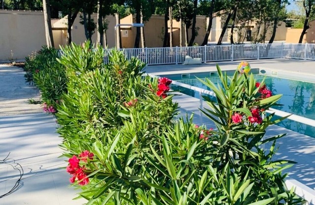Nouvelle annonce! Bastidon des alpilles