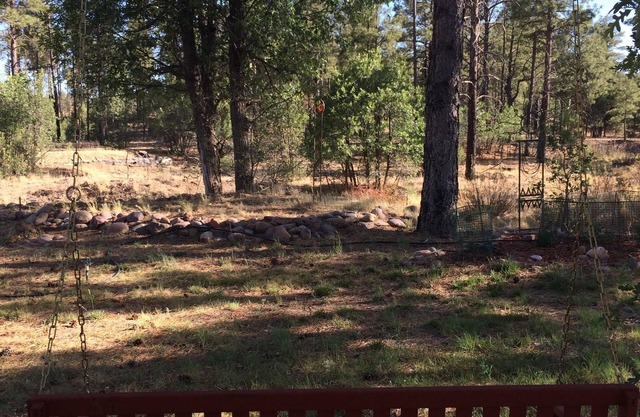 Nouveau! Retraite de studio artistique qui est calme et relaxant, bordant les forêts nationales