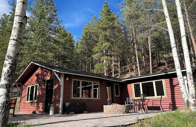Completely renovated cozy mountain cabin! 1 hr from DIA! Gas firepit & Wifi
