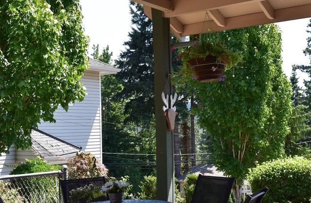 New Charming Lakeview Cottage in Downtown Kenmore