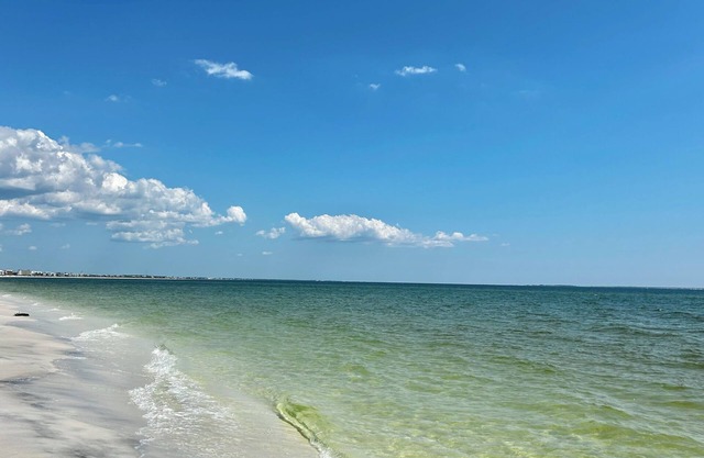 New Construction, Beachfront Views, Multiple Living Areas, Pet-Friendly