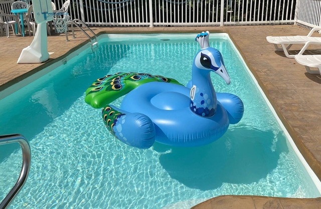 Piscine privée côté lac. Grande maison de sept chambres. Piscine ouverte jusqu'à mi-octobre
