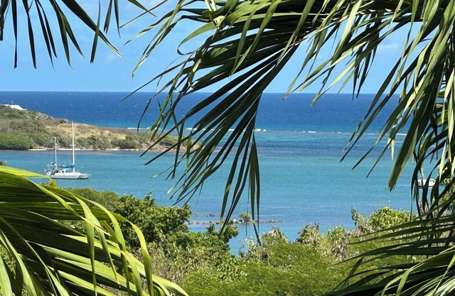 Large villa on St. Croix USVI with pool and view.