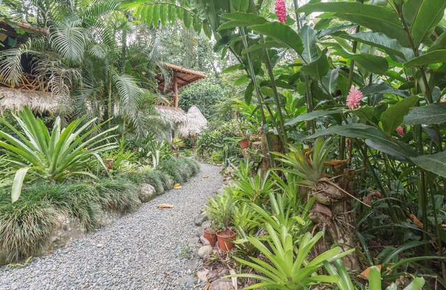 Jungle vivant à son meilleur! 2 à 9 personnes dans la zone la plus recherchée de Caribe.