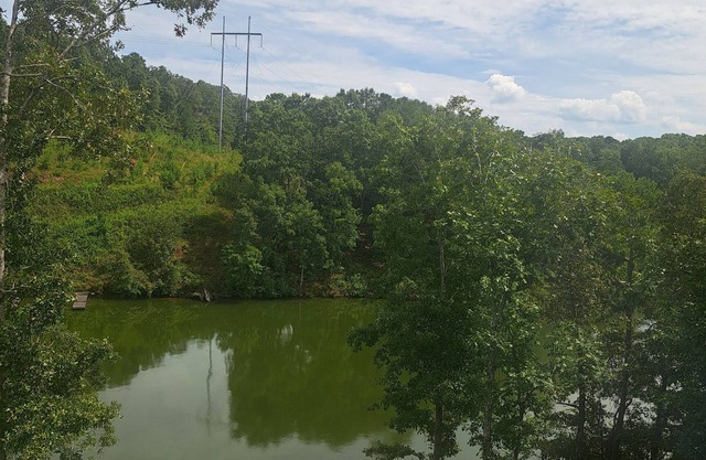 New to the Market-MY HAPPY PLACE- Spacious 2 bd/2ba home with dock