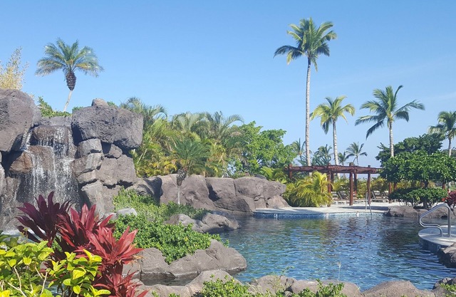 New Year's Eve at Hilton Grand Vacation Resort - Kings' Land 12/30/23 - 1/6/24