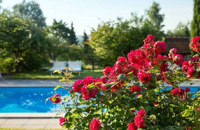 Newly built, modern 3-room luxury apartments near Lake Constance