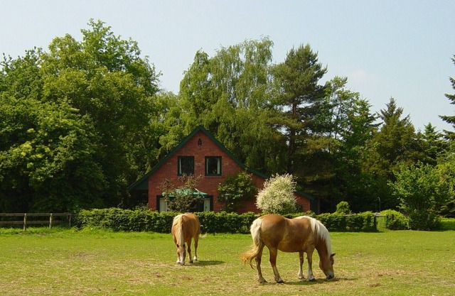 Maison confortable 4 *, meubles neufs, possibilité de faire de l'équitation