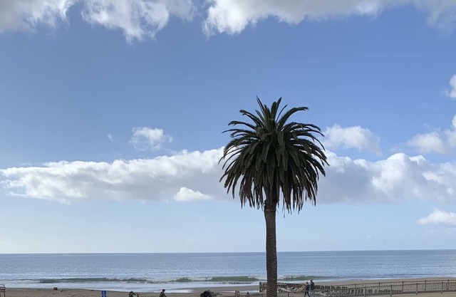 NEWLY REMODELED BEACH FLATnPanoramic Ocean Views- Just steps to the Beach