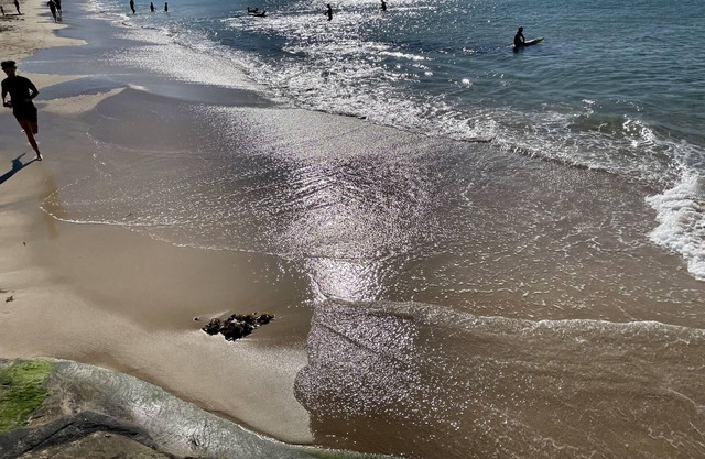 Quiet 2 BR with ocean & bush views, close to beach