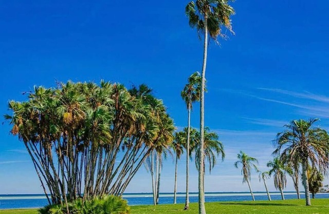 Newly renovated studio 1.5m from beautiful downtown St. Pete 2 blocks from water