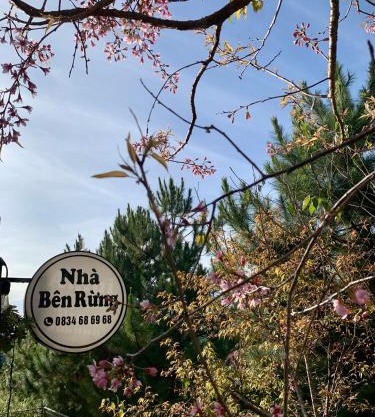 Nhà bên rừng