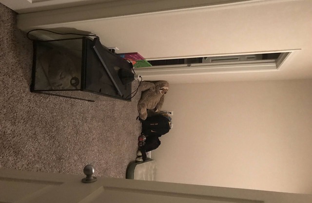 Nice And Comfy Getaway
