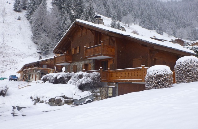 Joli appartement de 35 m2 dans un beau chalet Savoyard ensoleillé