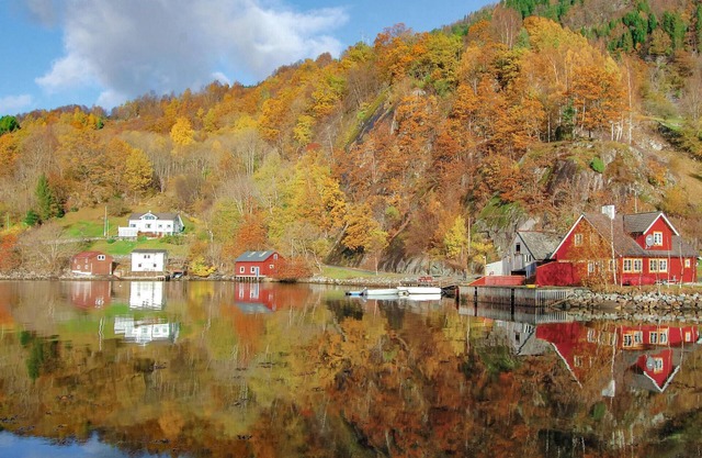 Vågen 1