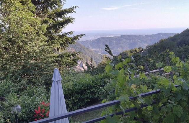 Beau rustico dans un endroit calme