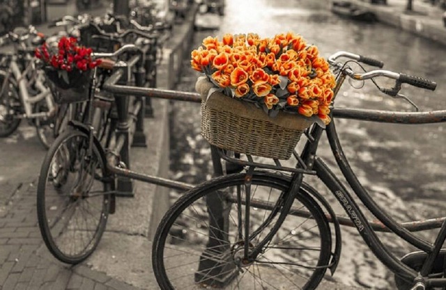 NIEUWMARKT, DAM SQR, FLOWER MARKET - LE LIEU À ÊTRE