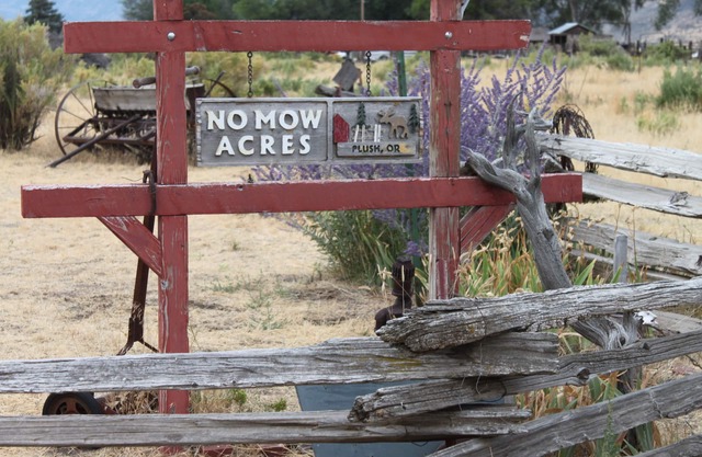 No Mow Acres / Situé dans le haut désert de l'Oregon