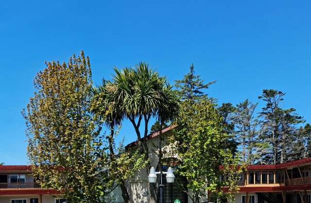 North Coast Inn