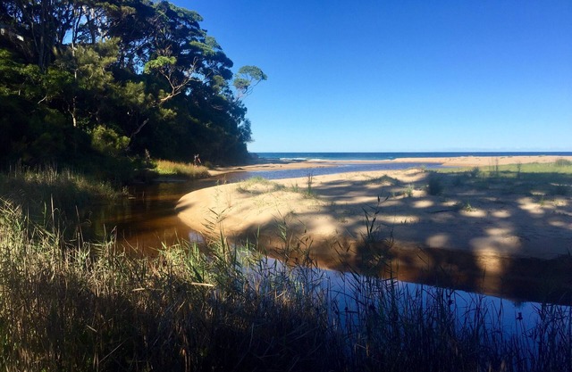North Rosedale Beachhouse