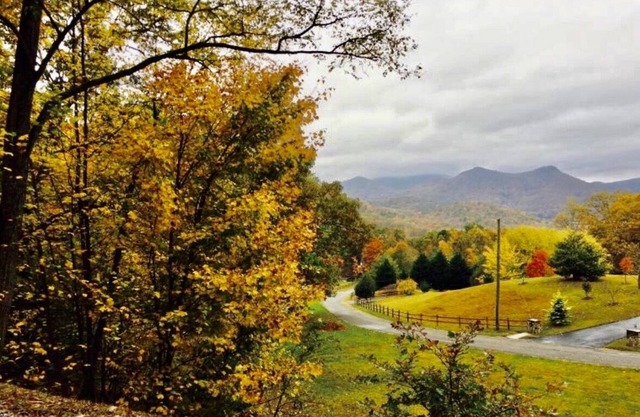 North GA Mountain Cabin Getaway Dillard, GA 12 personnes