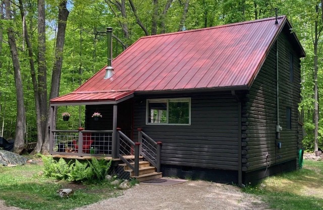 Northern Cabin près de Wilderness State Park et Mackinaw