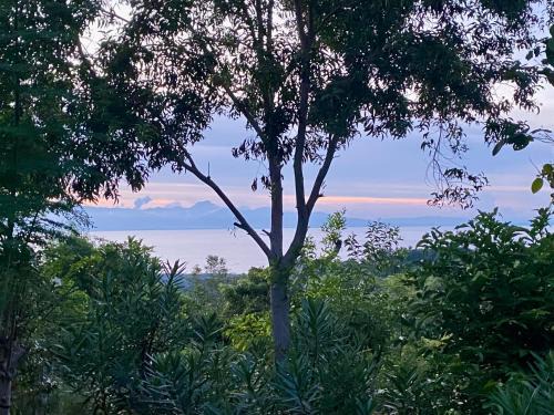 Novelyn's Seaview Hideaway