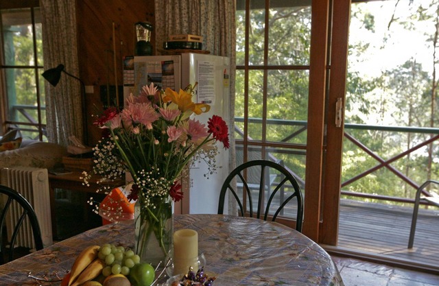 NUTLEY COTTAGE: 74 Nutley's Creek Road - Vue sur la rivière, Parking pour bateaux.