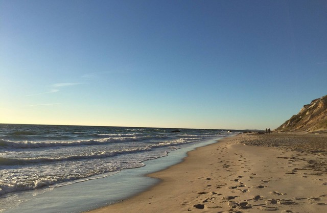 Oak Bluffs, location de Martha's Vineyard à la semaine pour juillet et août 2019