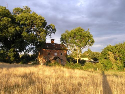 Oak Tree Farm