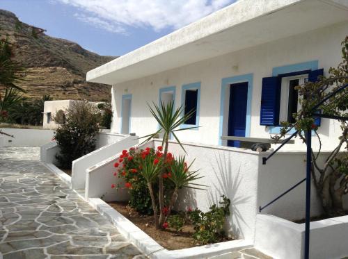 Oasis Apartments