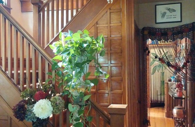 Oasis Bed and Breakfast