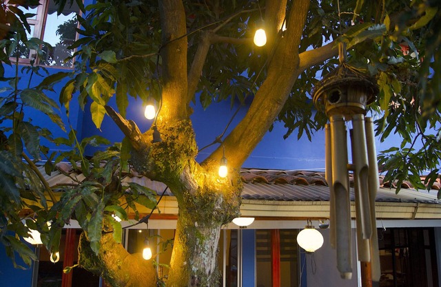 Oasis dans la ville Appartement A