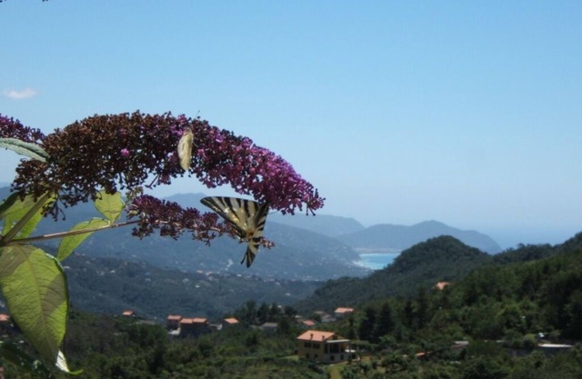 Oasis de détente entre colline et mer! Entre Portofino et les Cinque Terre