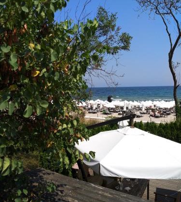 Oasis Resort & SPA studio 1