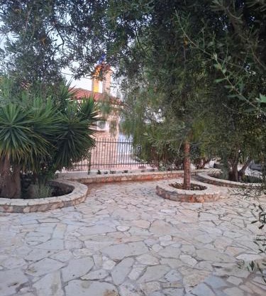 Oasis Studios AG PANTES