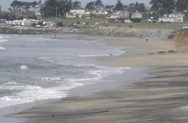 Océan, plage, des sentiers ... 5 Minutes Ouest!