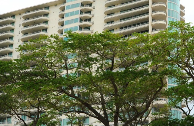Ocean Club 906 Grand