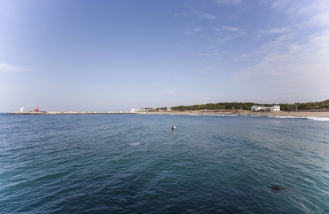 Ocean Family HOTEL