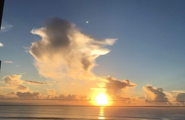 Condo face à l'océan avec vue directe sur l'océan dans le calme d'Ormond par la mer