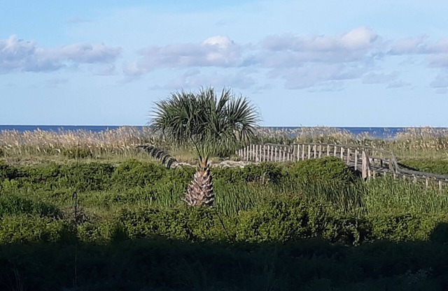 Ocean Front & pool view. Hunting Island pass included
