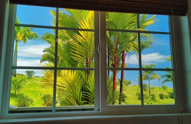 Ocean View Couple's Cottage on Fruit Orchard with Stream