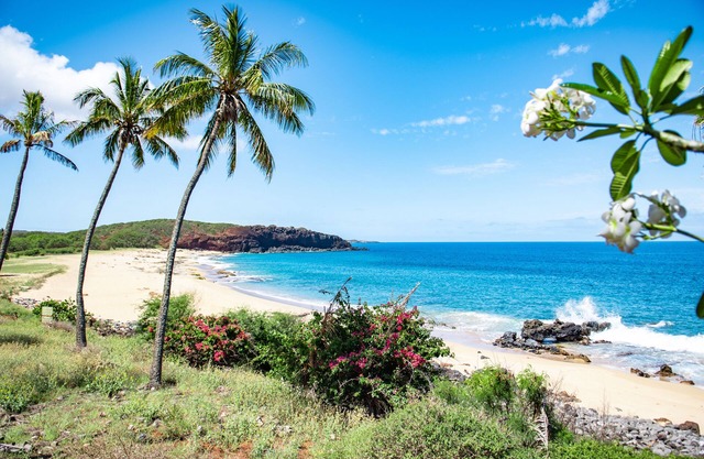 Ocean View, Ground-Floor Condo w/ Lanai, WiFi, Shared Pool - Walk to Beach