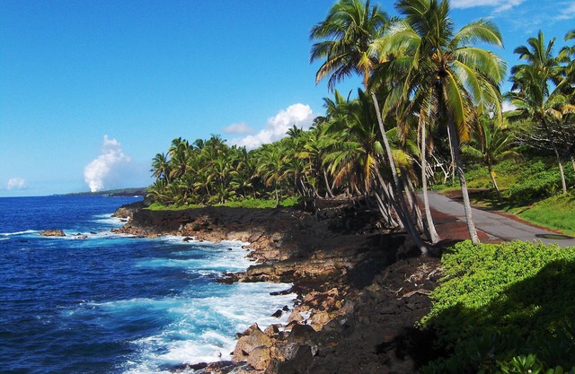Découvrez Hawaii sur un jardin botanique de 3 acres