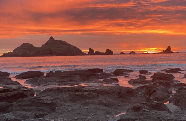 Pebble Beach House, Oceanfront, Whale Watching, Redwood Groves, Surf, Sunsets