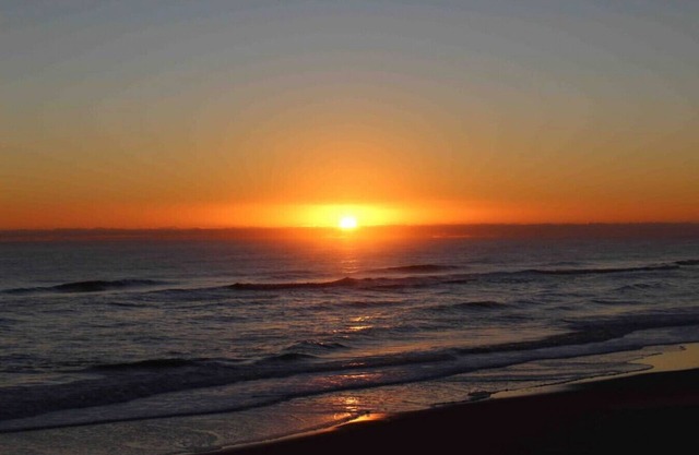 Oceanfront Cottage, S Nags Pet Friendly! MP19